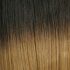 Harlem 125 MoMo Ultra Bundle 100% Human Hair